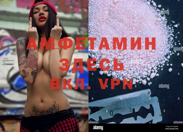 a pvp Алзамай