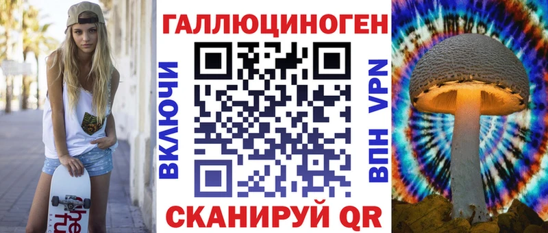 блэк спрут маркетплейс  Петровск  Псилоцибиновые грибы GOLDEN TEACHER  где купить наркоту 
